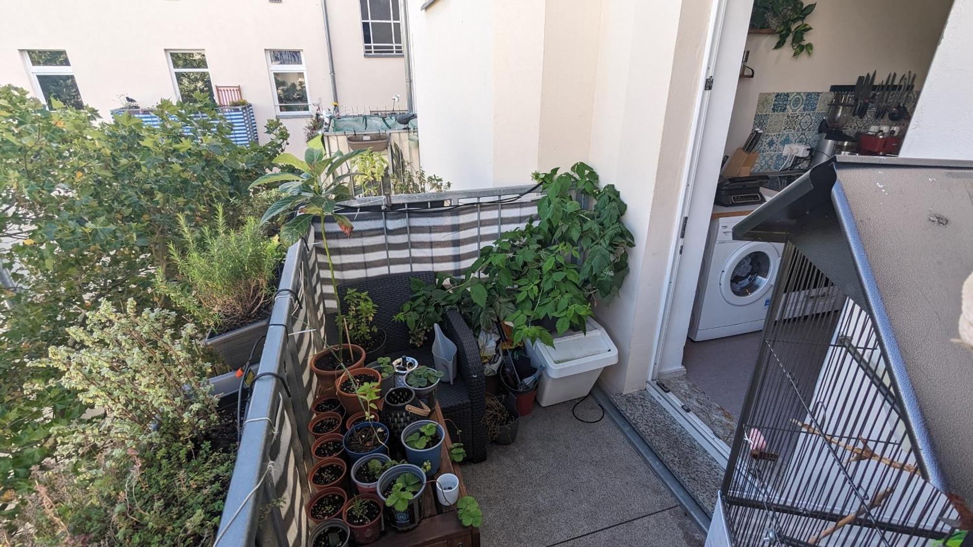 Cosy Flat In Berlin'S Trendy Area Apartment Ngoại thất bức ảnh