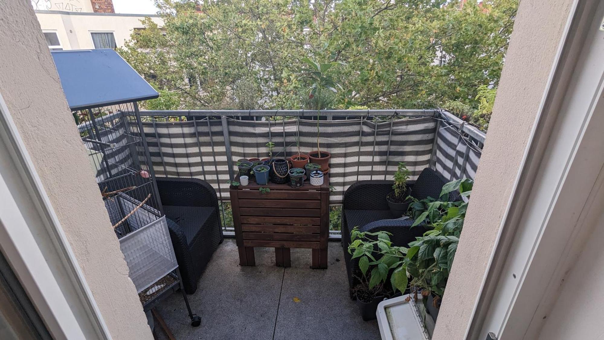 Cosy Flat In Berlin'S Trendy Area Apartment Ngoại thất bức ảnh